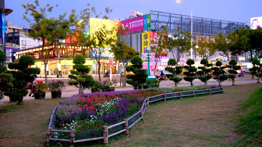 Central Park showing flowers and a park