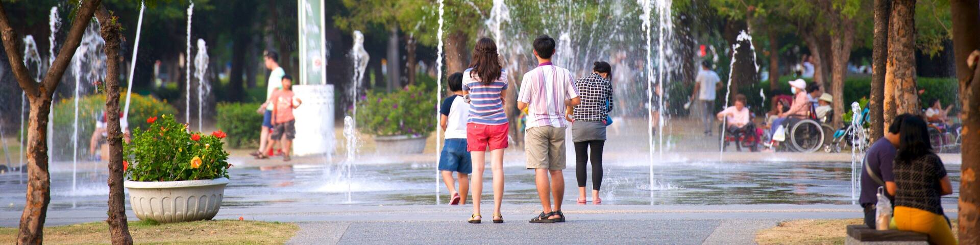Central Park which includes a fountain as well as a small group of people