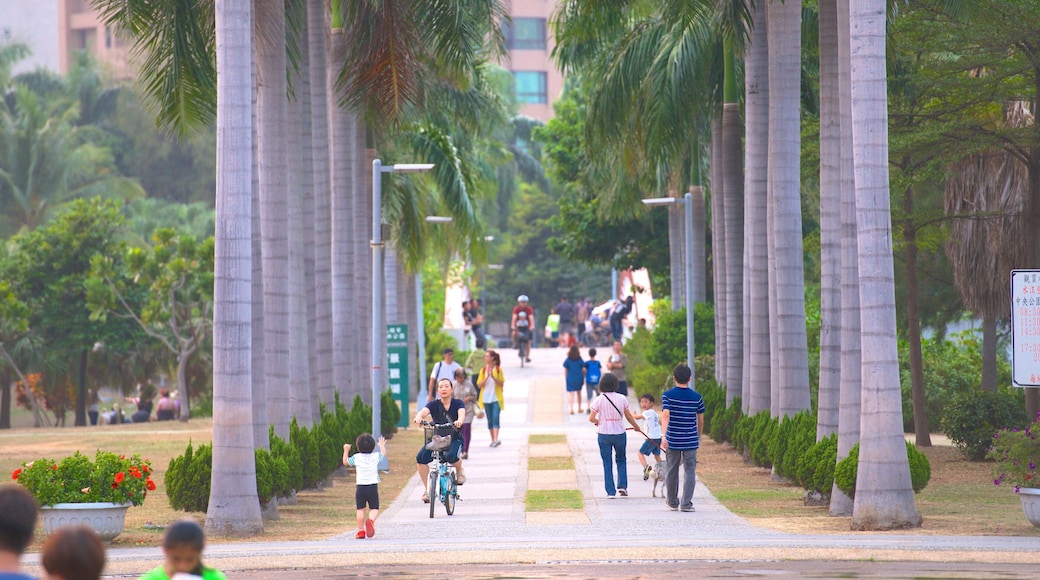 Central Park showing a park
