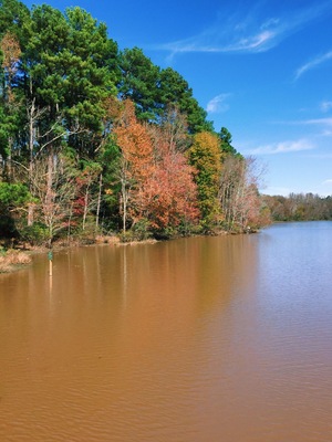 Enjoying the fall foliage in Chester State Park, SC.
More on www.ajauntwithjoy.com