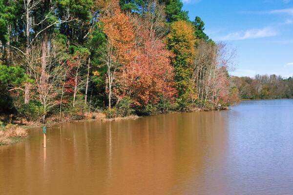 Enjoying the fall foliage in Chester State Park, SC.
More on www.ajauntwithjoy.com