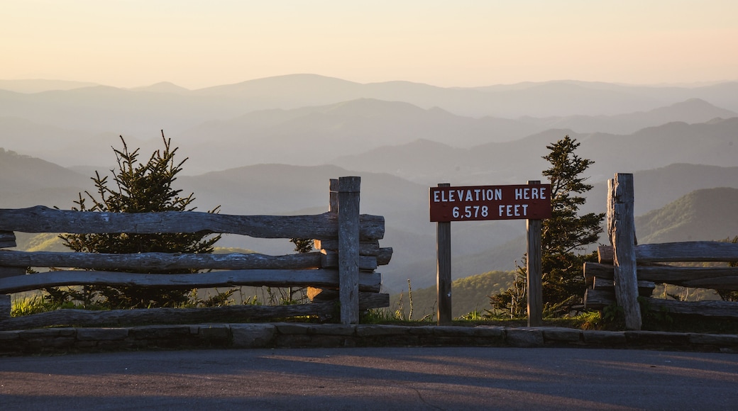 Mount Mitchell State Park