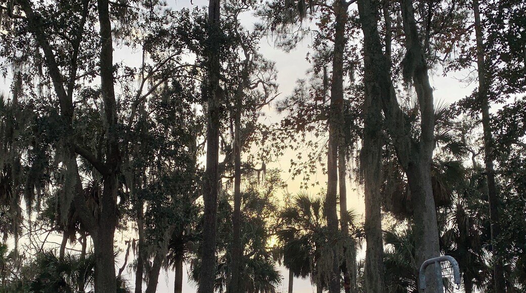 Evening campsite view