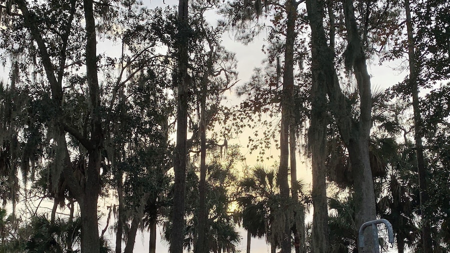 Evening campsite view