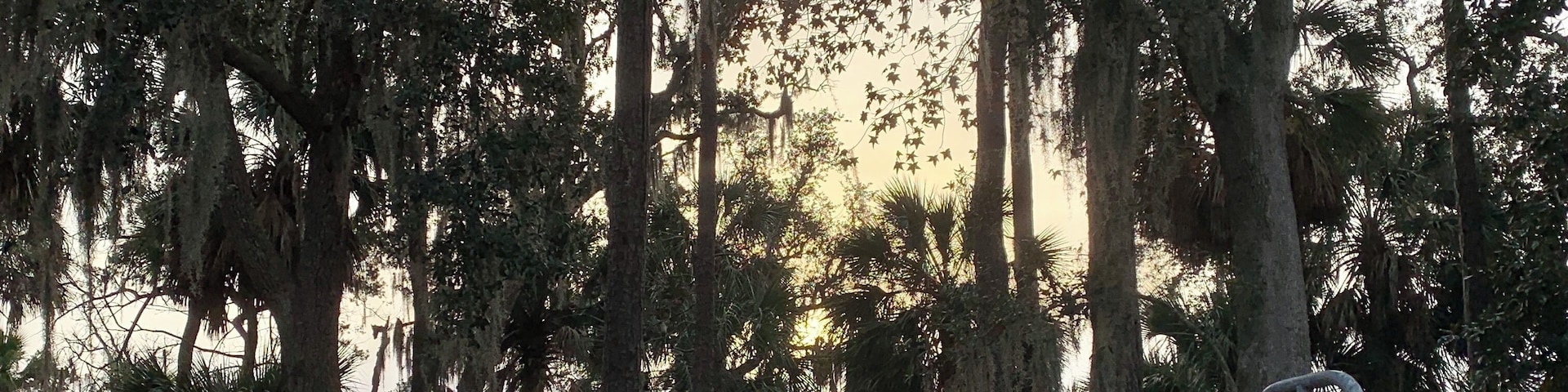 Evening campsite view