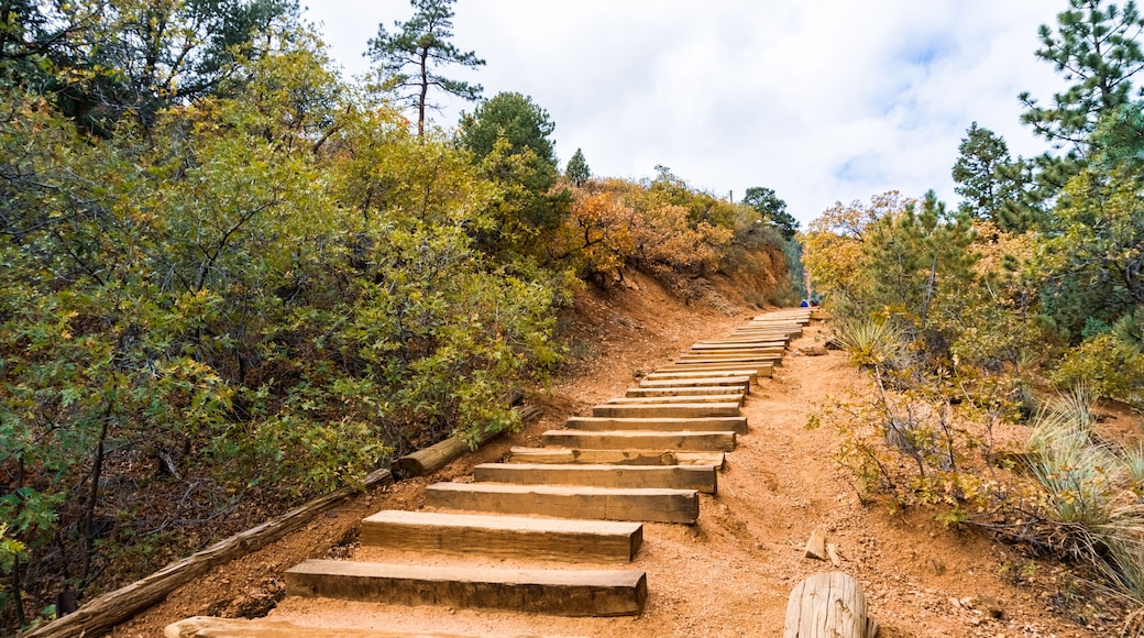 Manitou incline