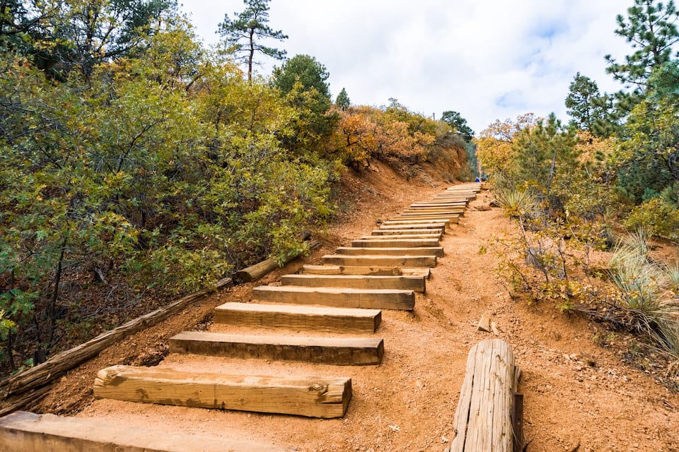 Un sendero de tierra con escalones de madera que asciende por una colina, rodeado de árboles de colores otoñales.