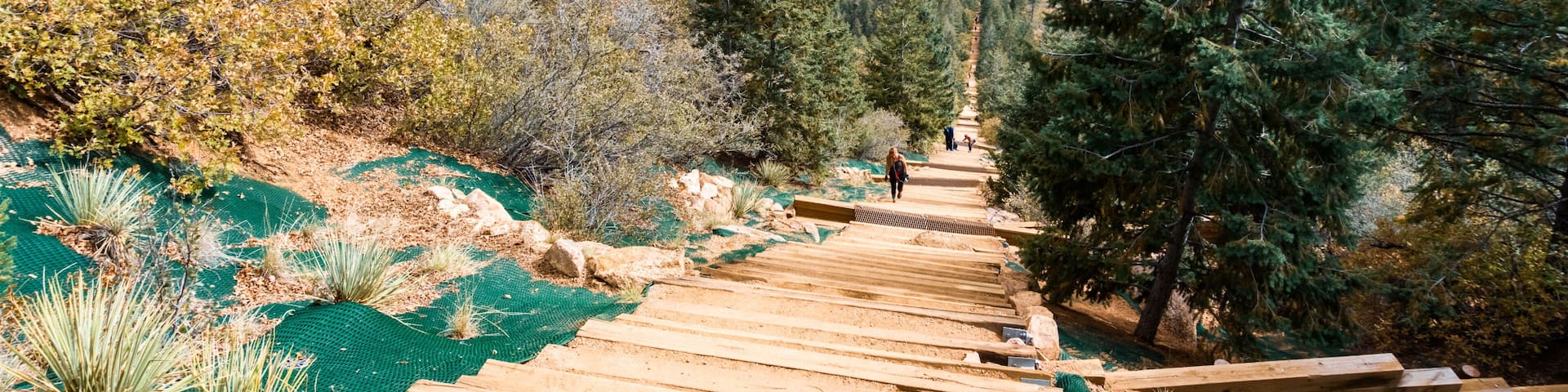 A wooden staircase leading uphill with a view of a valley below.