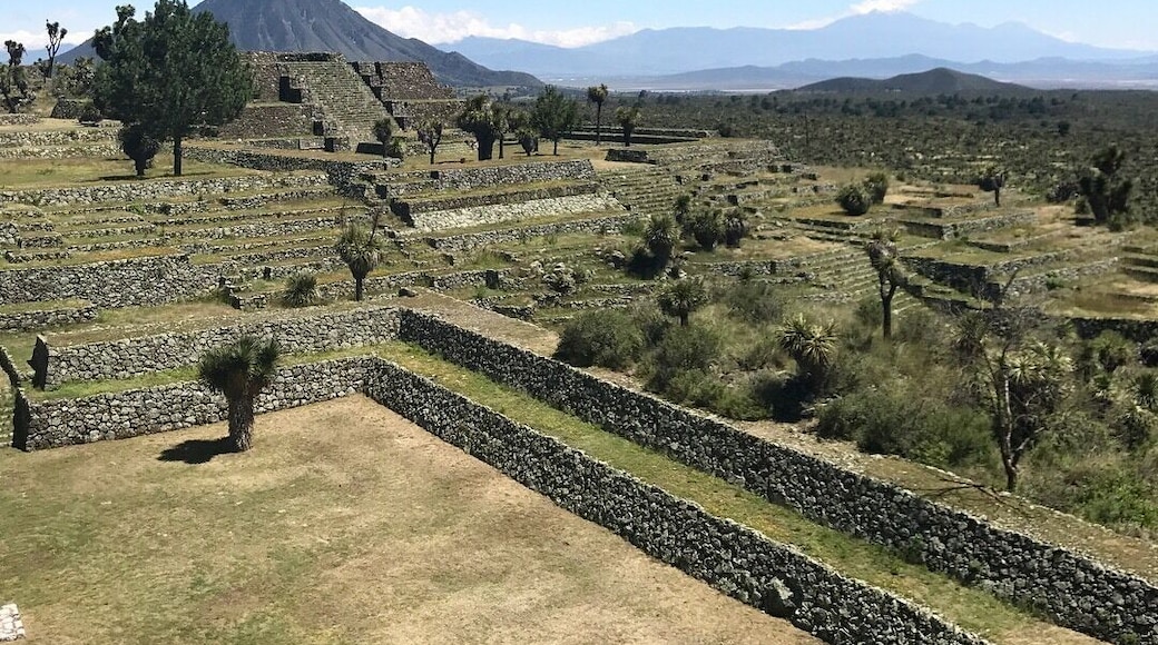 One of the largest prehispanic cities with sweeping views of the plains and hardly any tourists! Gorgeous to explore!