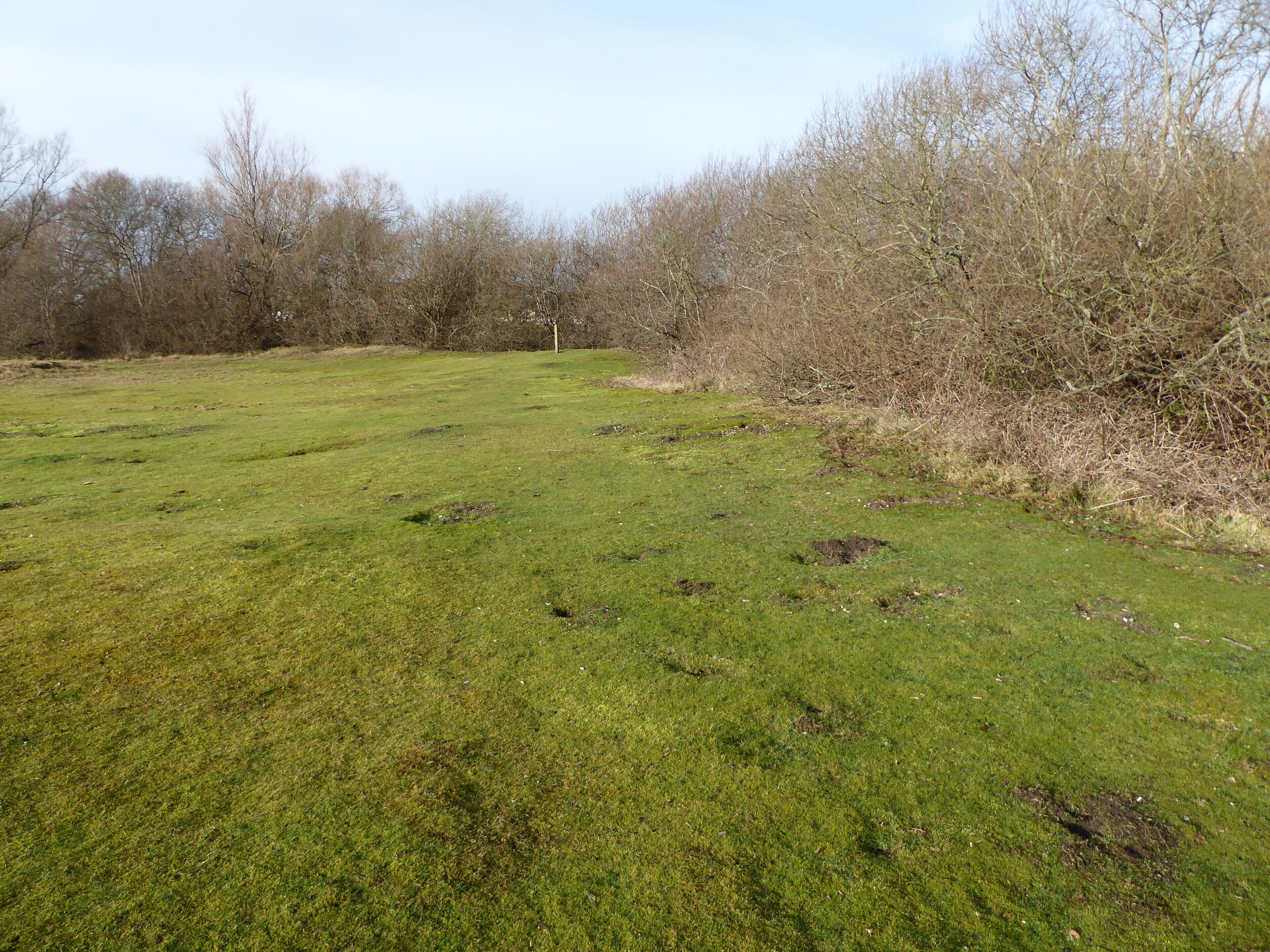 Romney Warren is a country park and Local Nature Reserve in New Romney in Kent.