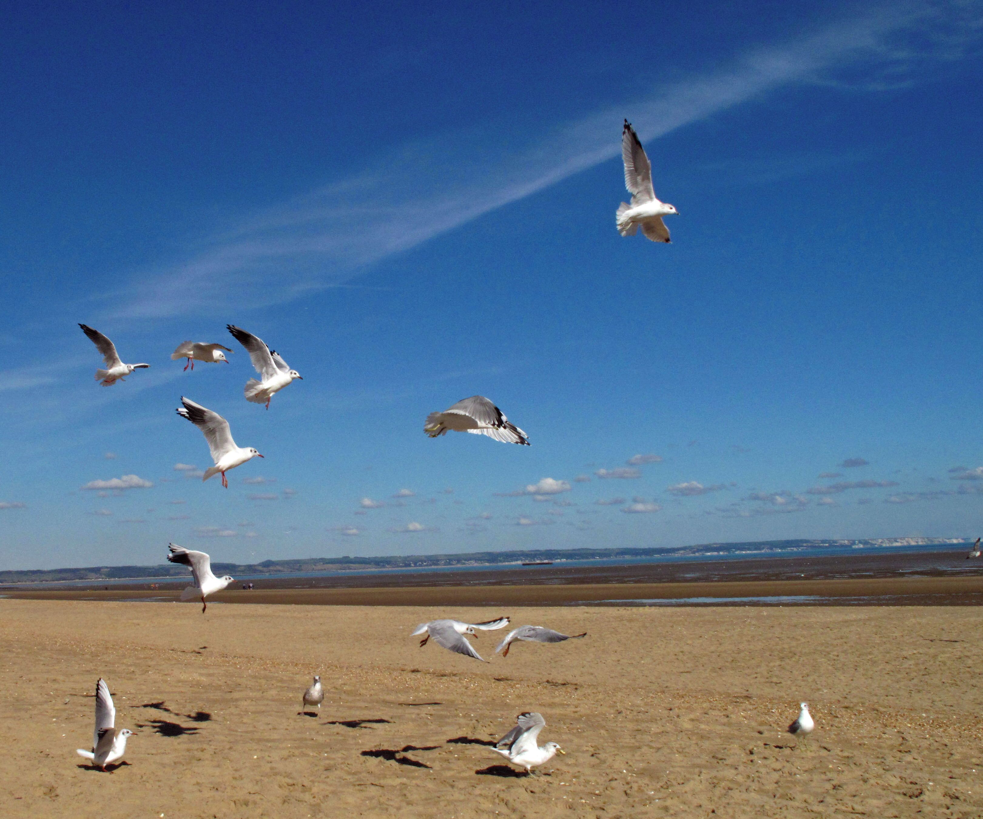 A beautiful October day on Greatstone beach.