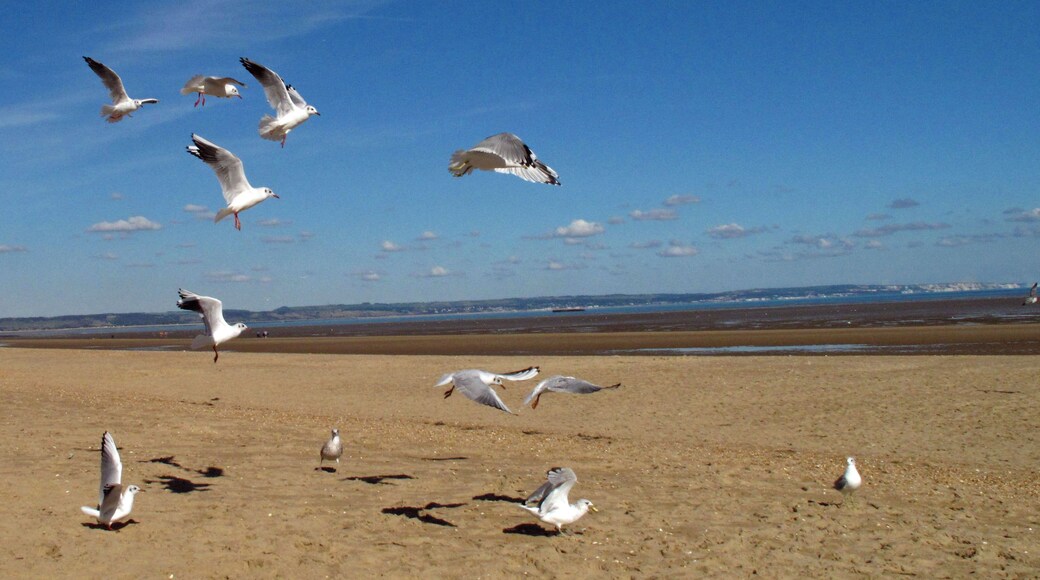 A beautiful October day on Greatstone beach.