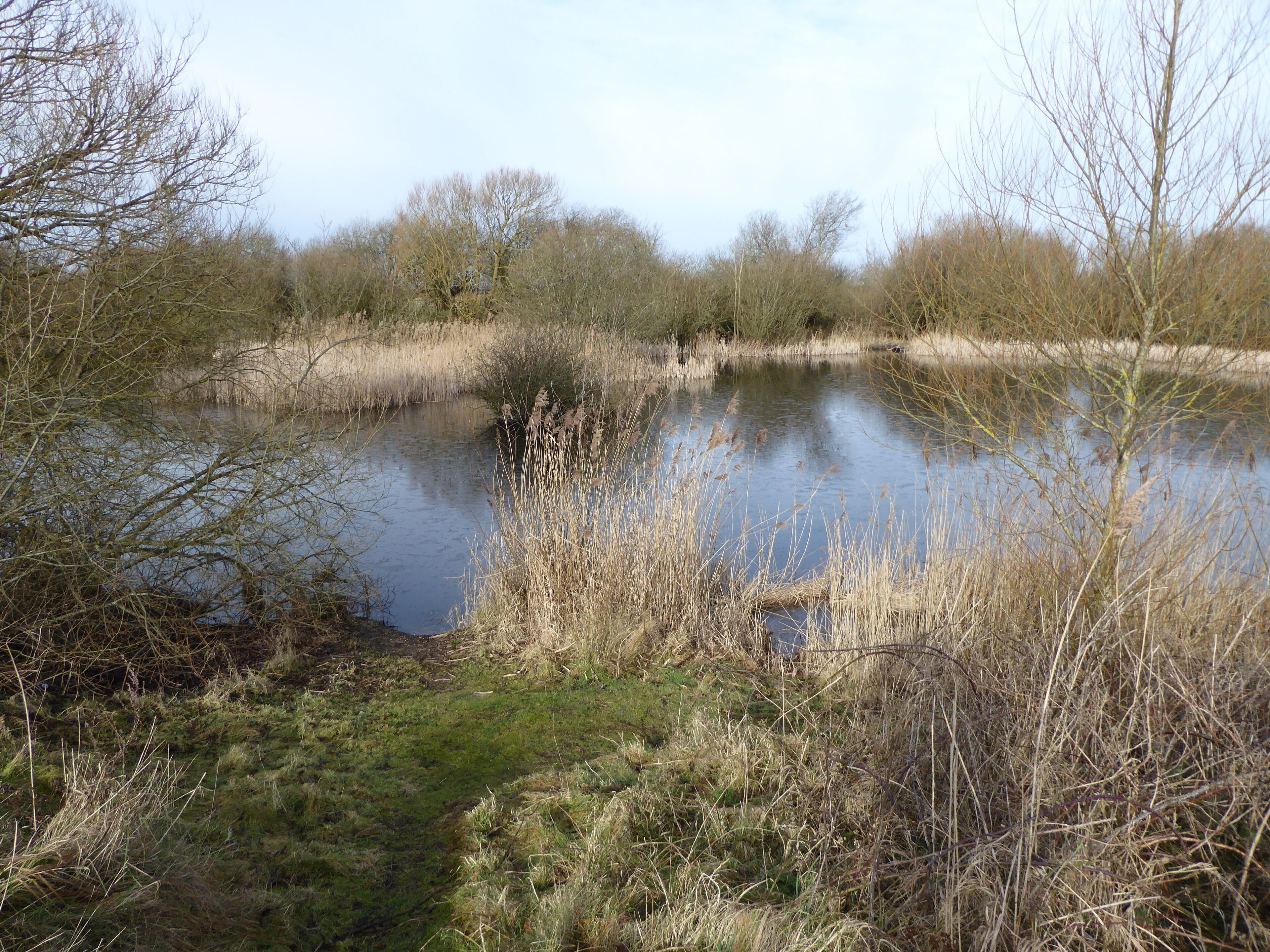 Romney Warren is a country park and Local Nature Reserve in New Romney in Kent.