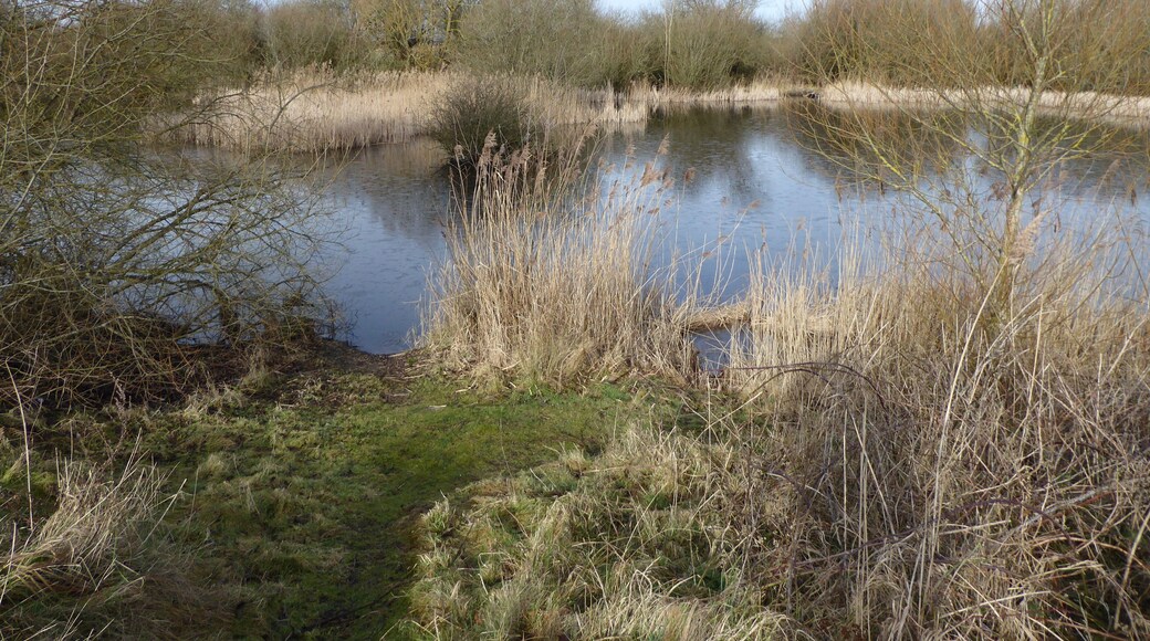 Romney Warren is a country park and Local Nature Reserve in New Romney in Kent.