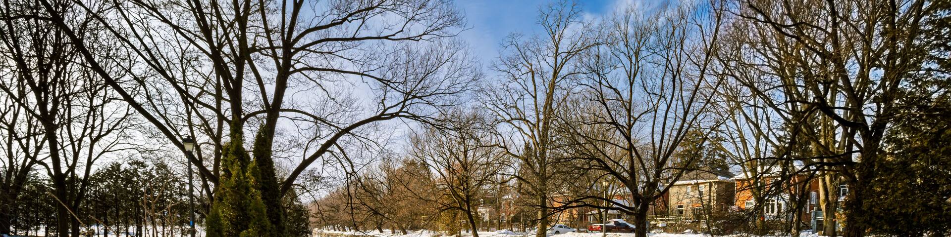 A snow-covered riverbank with bare trees and a stone wall.