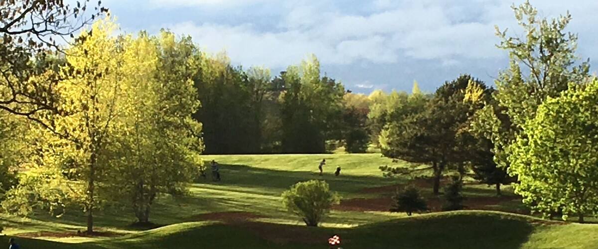 A golf course with rolling hills, trees, and a clear sky.