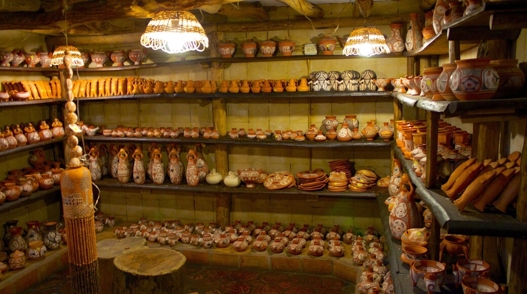 Caracas ofreciendo arte