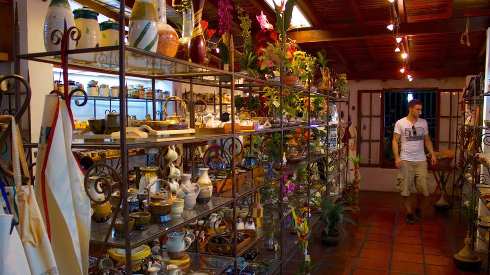 A store with shelves of pottery and plants.