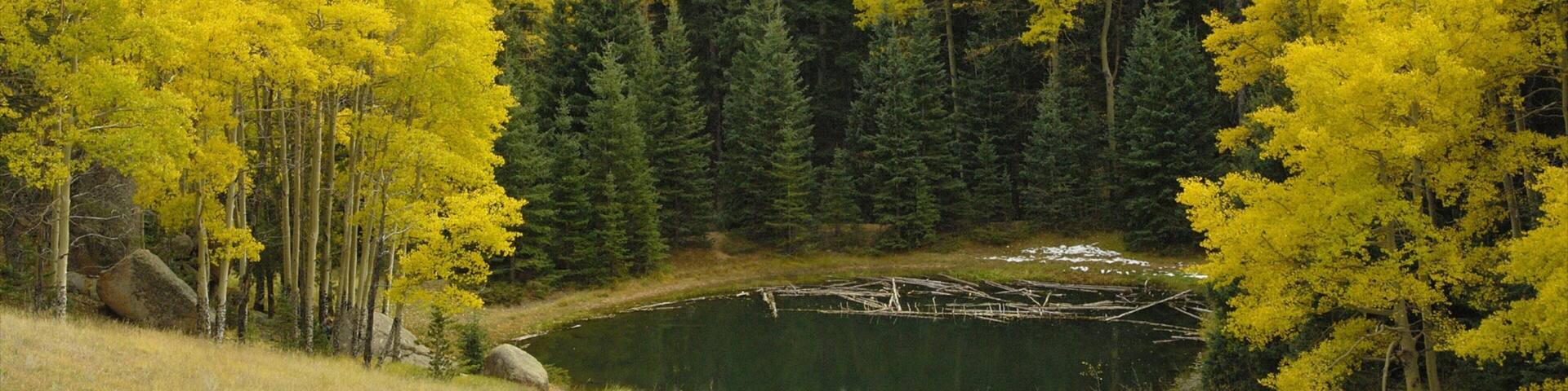 Mueller State Park which includes a pond and forests
