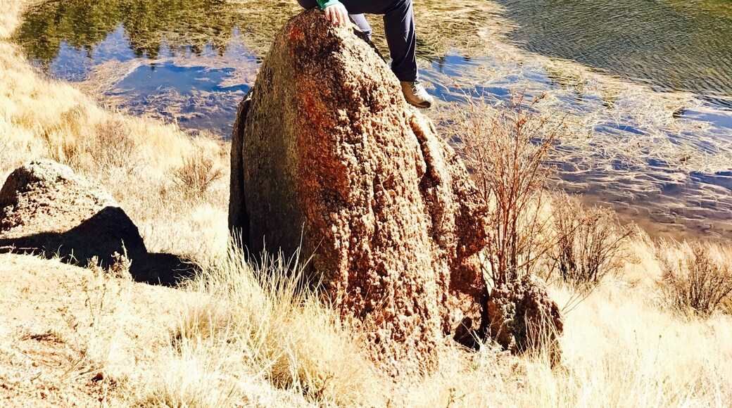 Take a seat 🌲 this state park has many resting places to offer and you can’t beat the fresh air!