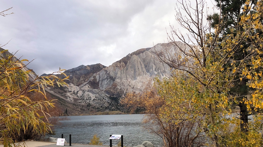 The mountain overlooking this lake has unique marble cake like straitions. One of the most beautiful places to see the sun rise or set. #trovember #outdoors #lake #marblecake #california