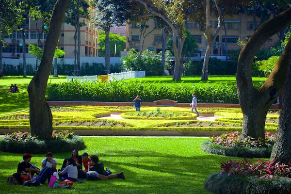 Caracas welches beinhaltet Picknicken und Park sowie große Menschengruppe