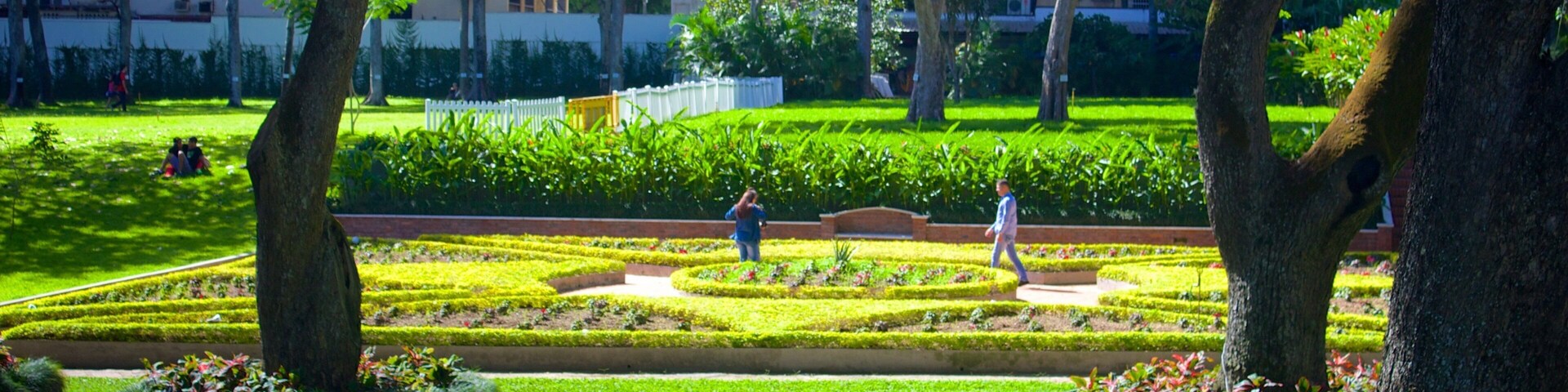 Caracas showing picnicing and a park as well as a large group of people