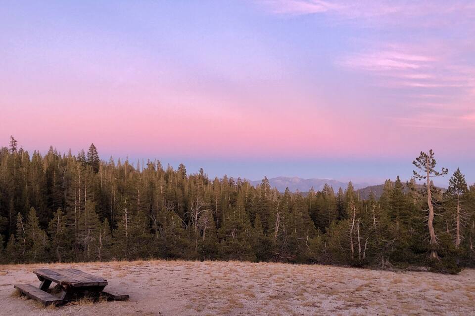 A picnic table in a forested area with a clear sky.
