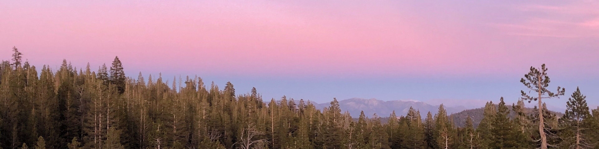 You would spend most of your time at this location looking at the minarets at sunset. As beautiful as they are, make sure to look around- or you might miss the pink and purple surprise behind you. #trovember #sunset #outdoors #mammothlakes #california