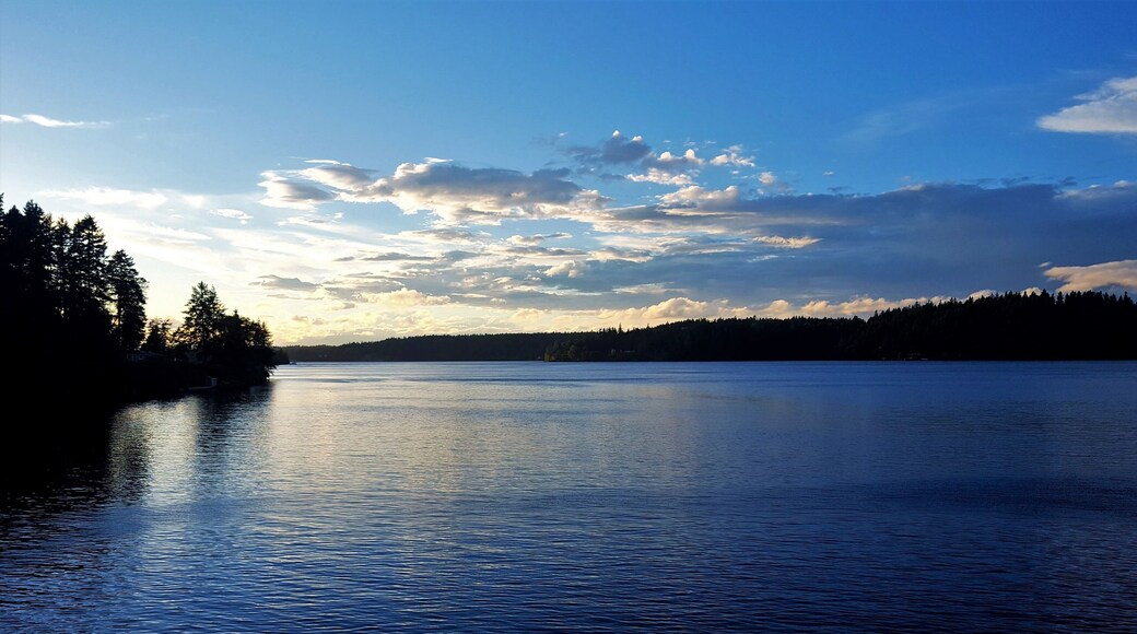 ๋ชฌํ ๋น์คํ