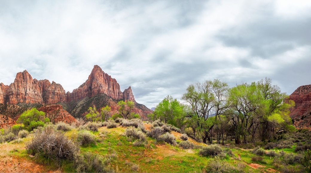 Parc national de Zion