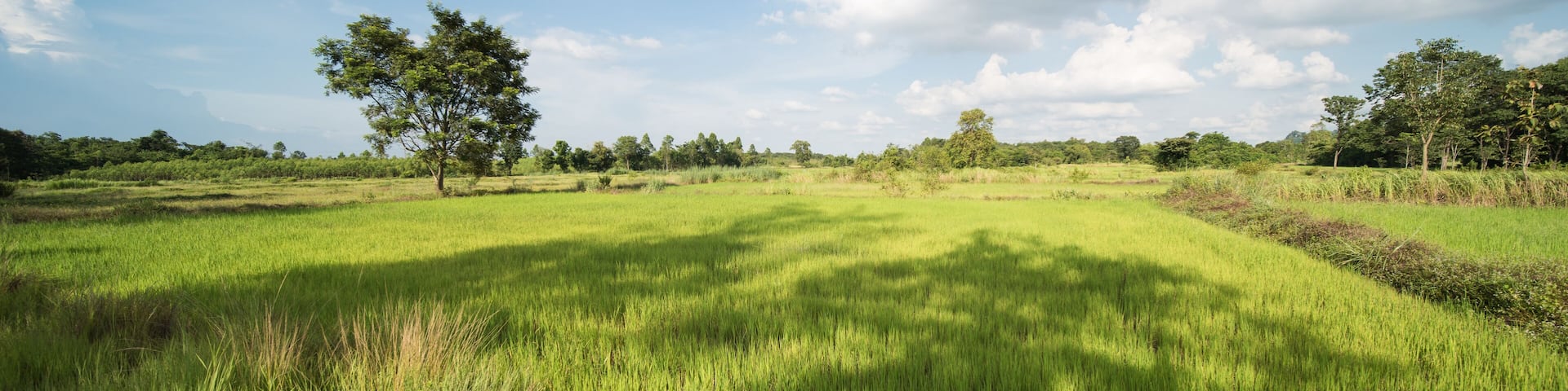 rural area in Amphoe Kabin Buri, Thailand.