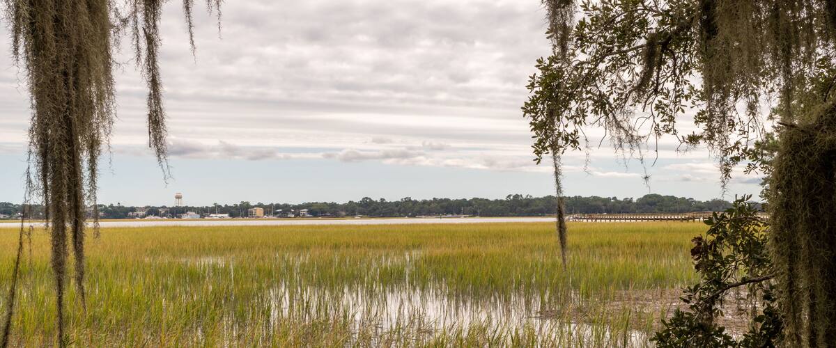A marshy landscape with water, trees, and a distant city skyline.