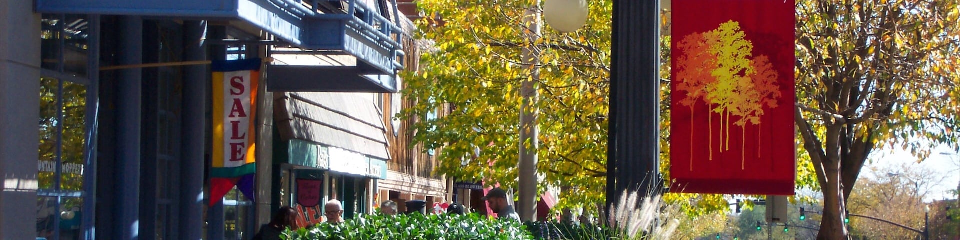 Old Colorado City featuring signage and street scenes