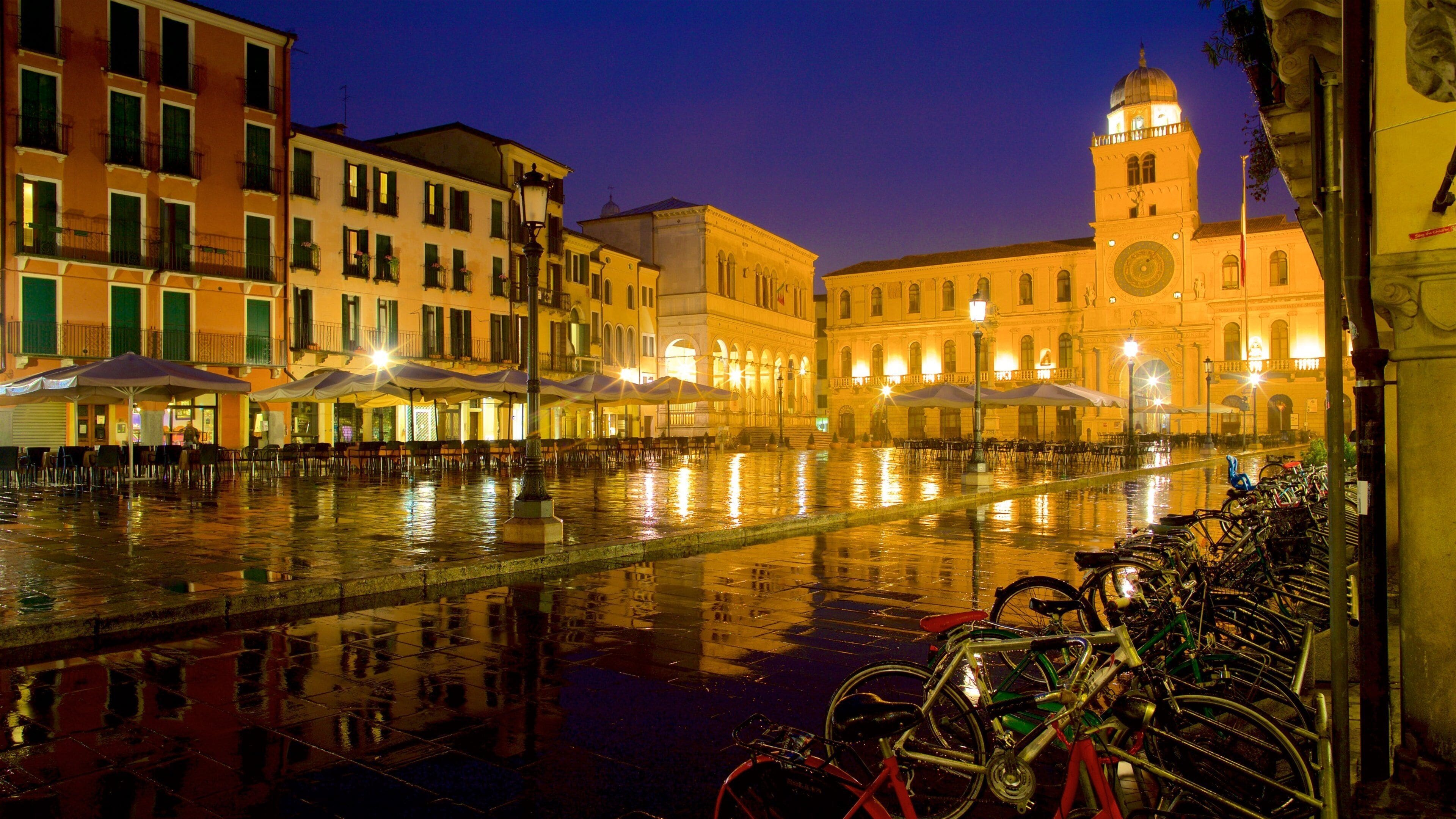 Piazza dei Signori che include città, architettura d\'epoca e paesaggio notturno