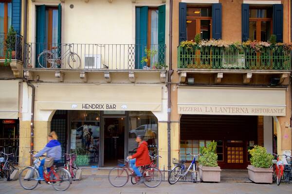 Piazza dei Signori welches beinhaltet Straßenszenen und Straßenradfahren sowie Paar