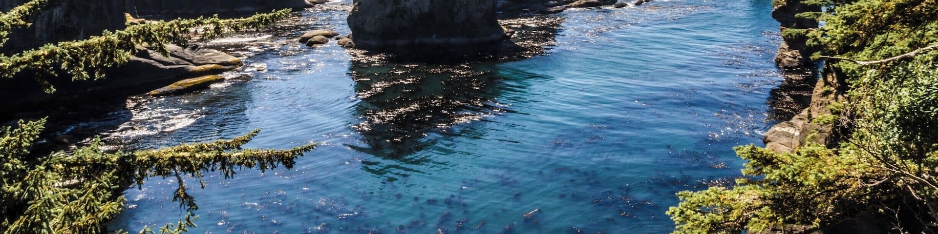 A coastal landscape with rocky cliffs, clear blue water, and dense green forests.