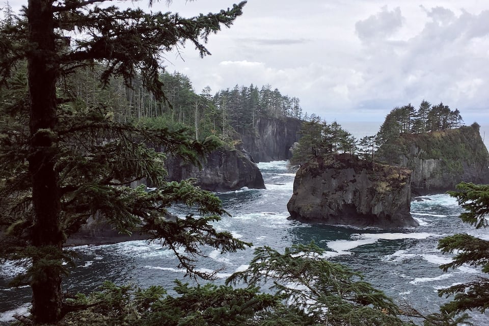 A coastal forest with rocky outcrops and a turbulent sea.