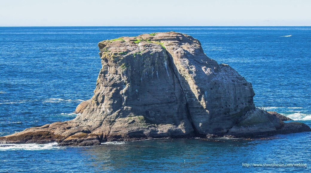 One of the massive stone formations lining the area around Cape Flattery. I guess it might qualify as some kind of sea stack, but one that would never be accessible by land (or legally accessible, period).