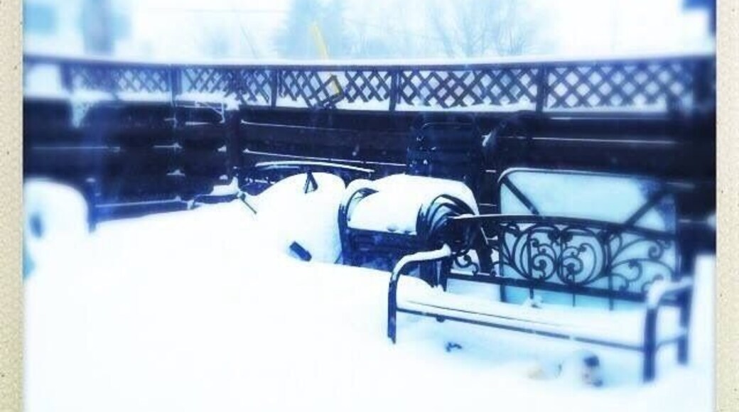 No matter how much #snow we get in Toronto, this tiny village three hours to the east gets more