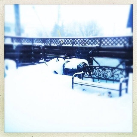 No matter how much #snow we get in Toronto, this tiny village three hours to the east gets more