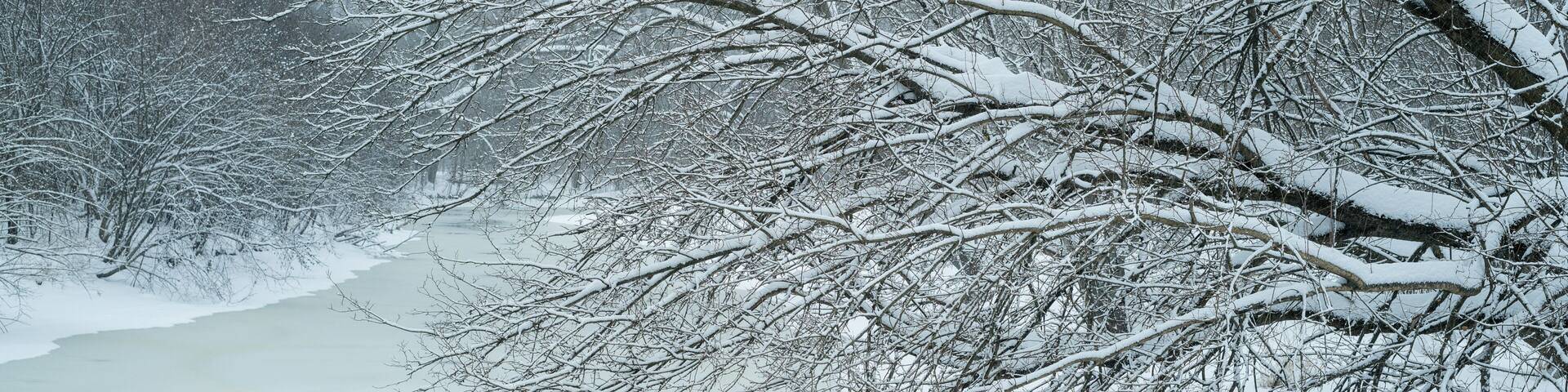 Panoramic winter scene of a frozen midwest stream in a forest. Photographed in Fullersburg Forest in Oak Brook, Illinois.