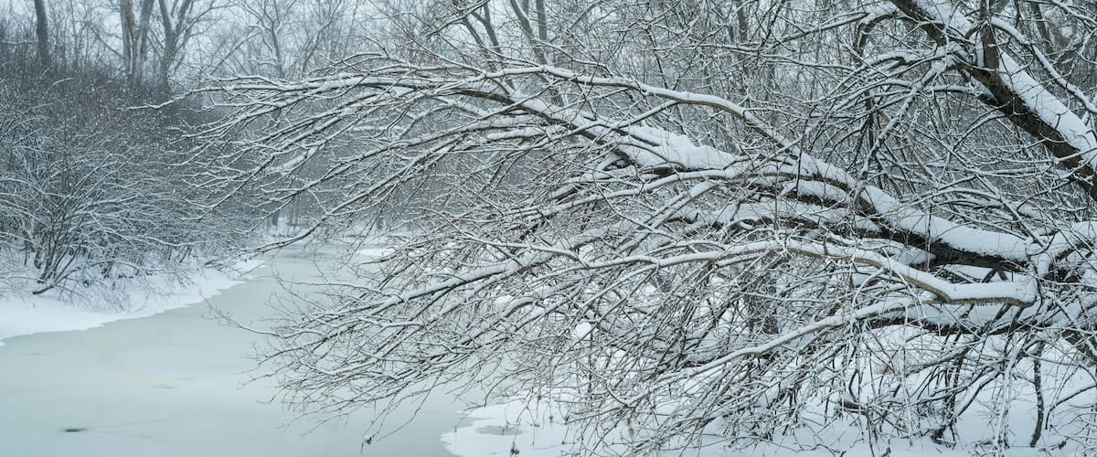A snow-covered landscape with bare trees and a frozen river.