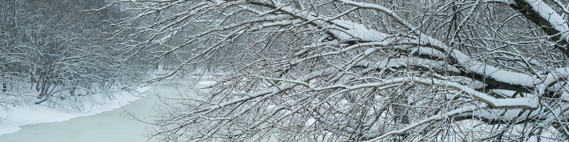 A snow-covered landscape with bare trees and a frozen river.