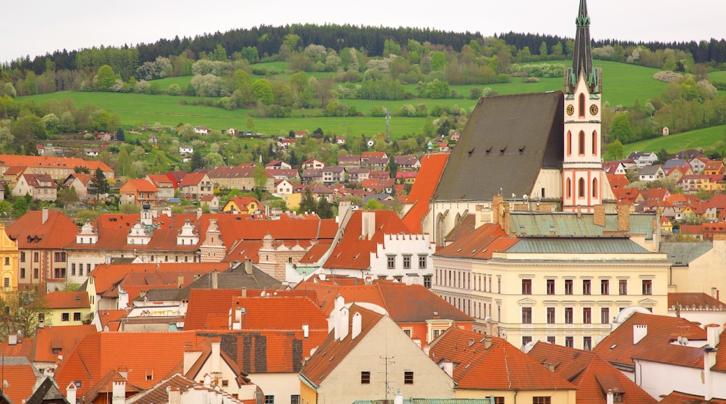 Church of St. Vitus showing a city