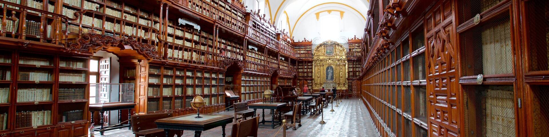 Palafoxiana Library showing heritage elements and interior views