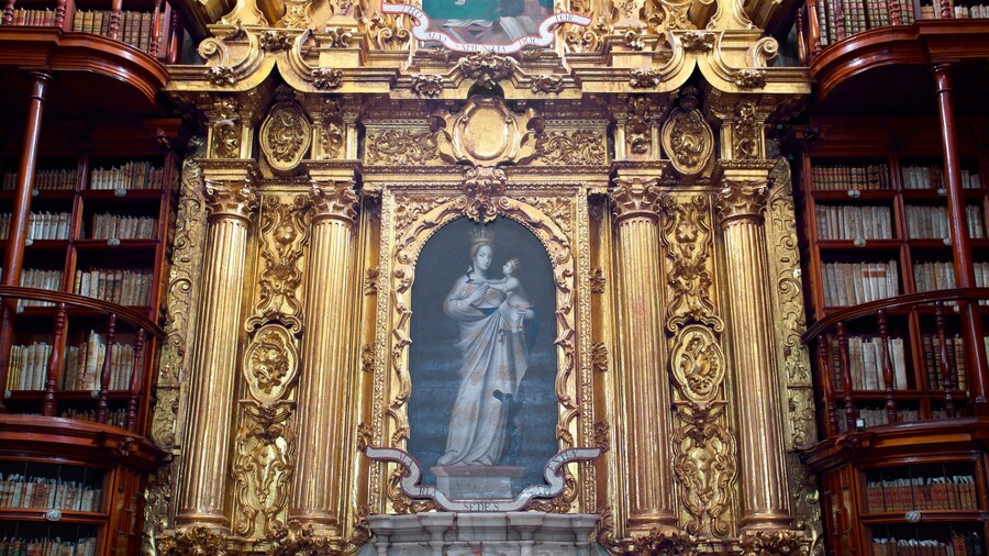 Biblioteca Palafoxiana que inclui vistas internas e elementos de patrimônio