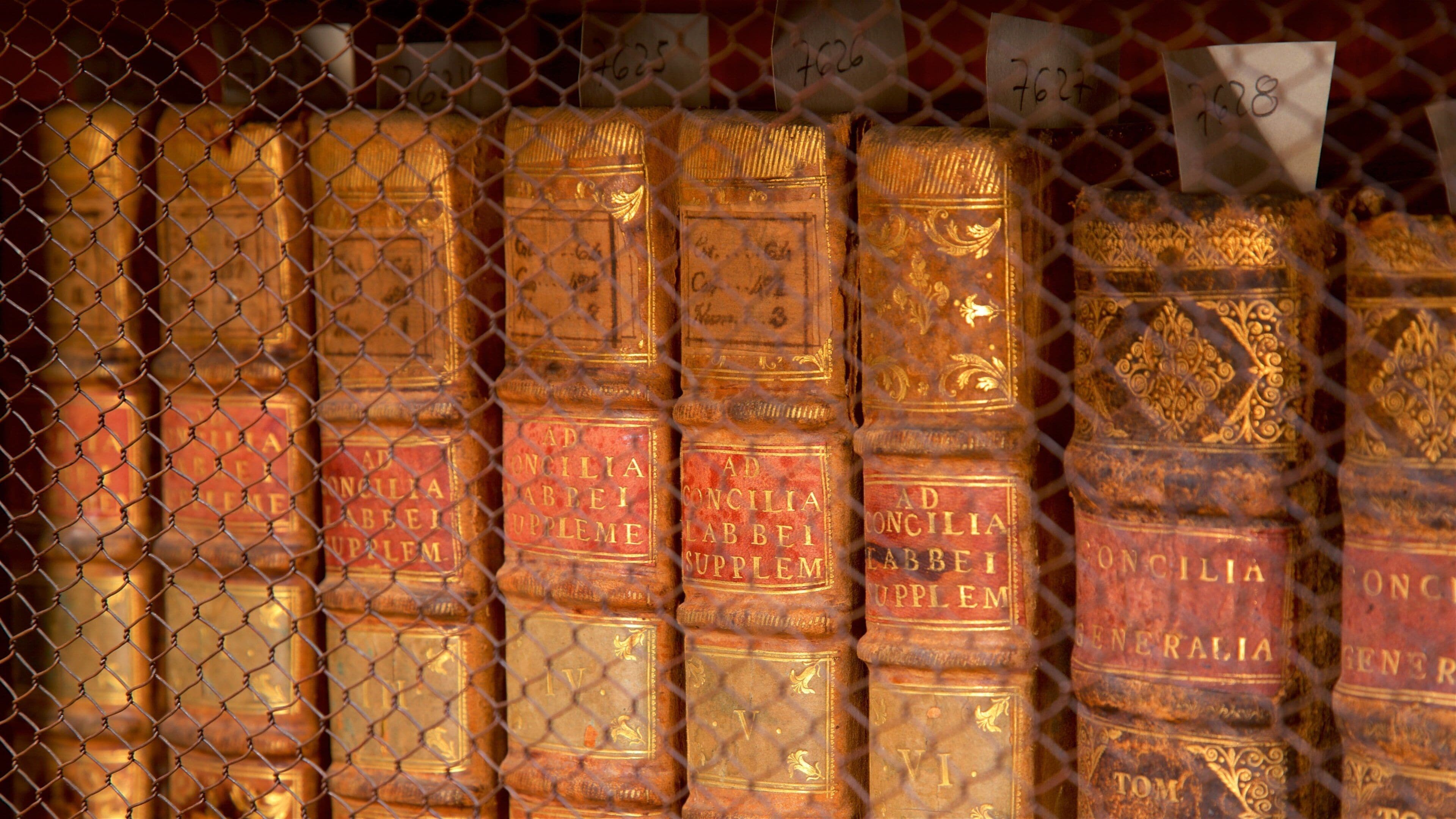 Palafoxiana Library showing heritage elements and interior views