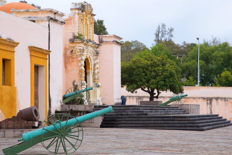 A historical building with ornate architecture, a tree, and cannons.