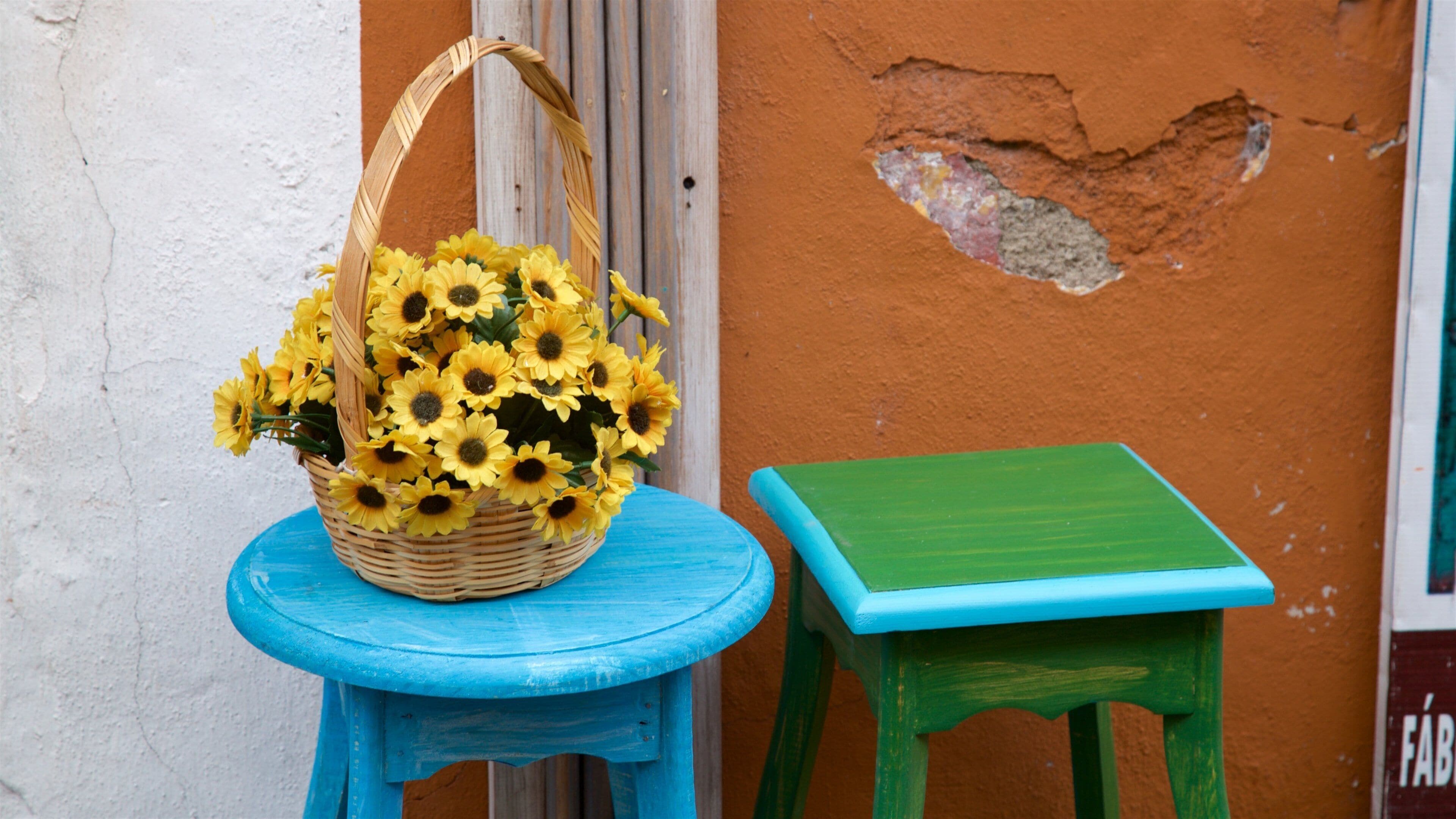 洛斯薩波斯市集 设有 花朵